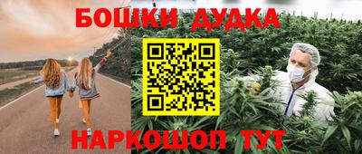 стафф Лесосибирск