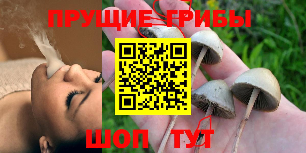 Галлюциногенные грибы мицелий  Вход с VPN  Звенигород  Псилоцибиновые грибы прущие грибы 