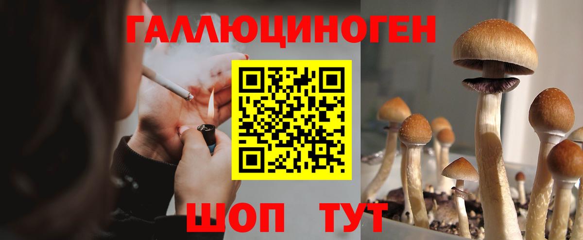 Галлюциногенные грибы ЛСД Звенигород